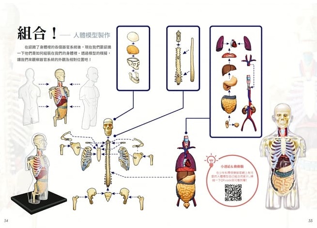 設計精密的人體_2