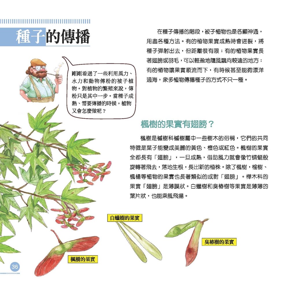 我的第一本植物演化圖鑑—從被子植物稱霸到人與植物共生_3